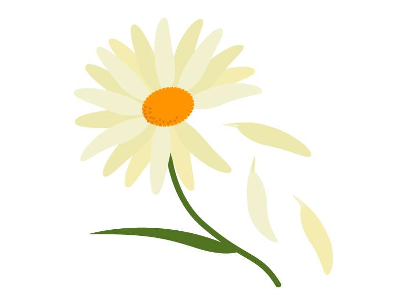 今の時代の好きなところ・嫌いなところ