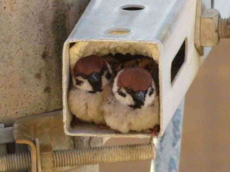 【イチオシ】カワイイ画像&GIF集💖【悶】