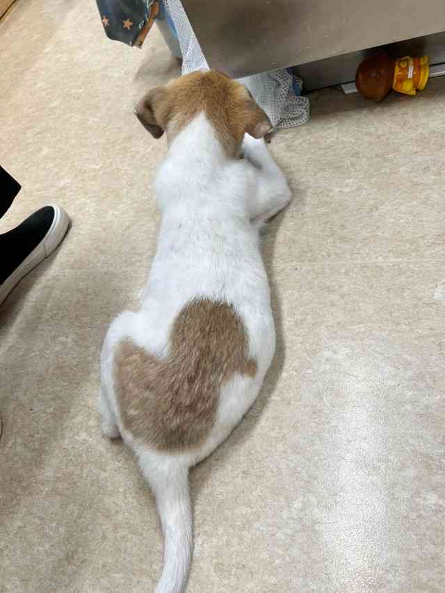 【イチオシ】カワイイ画像&GIF集💖【悶】