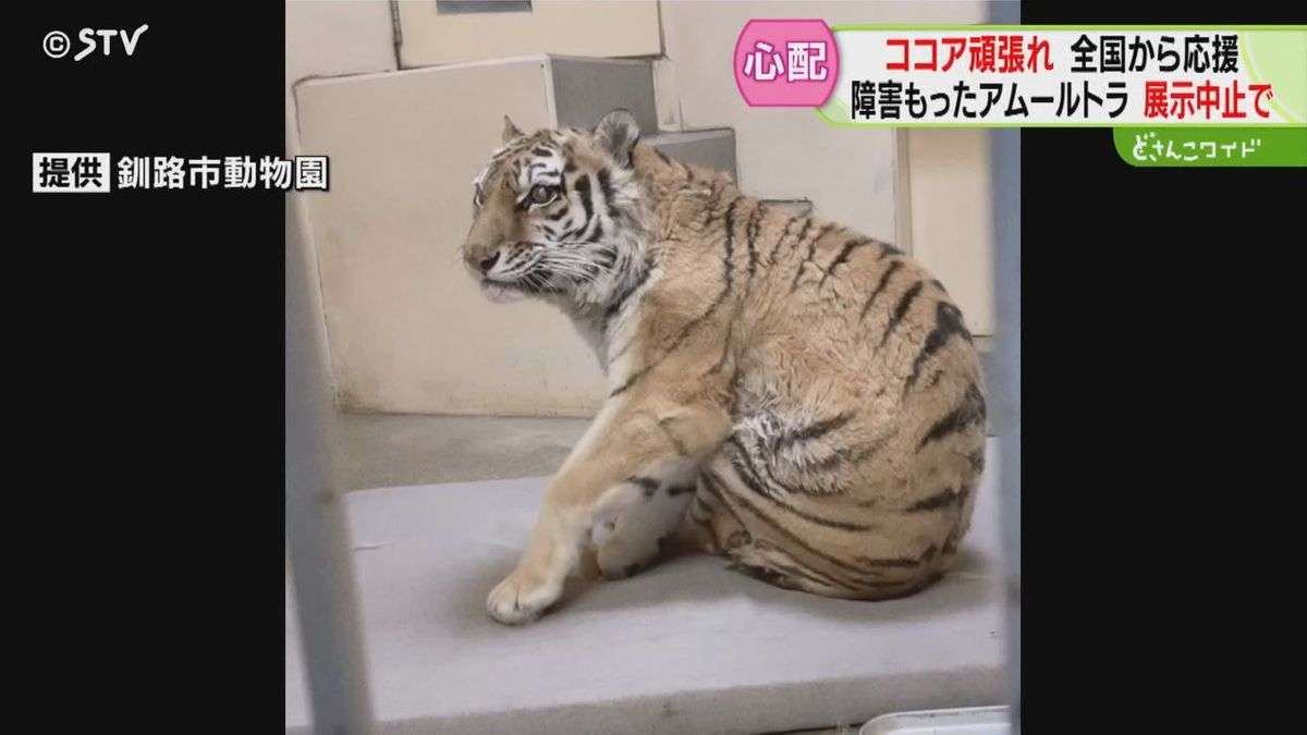 子供を産む時、健常児が産まれると思ってましたか？