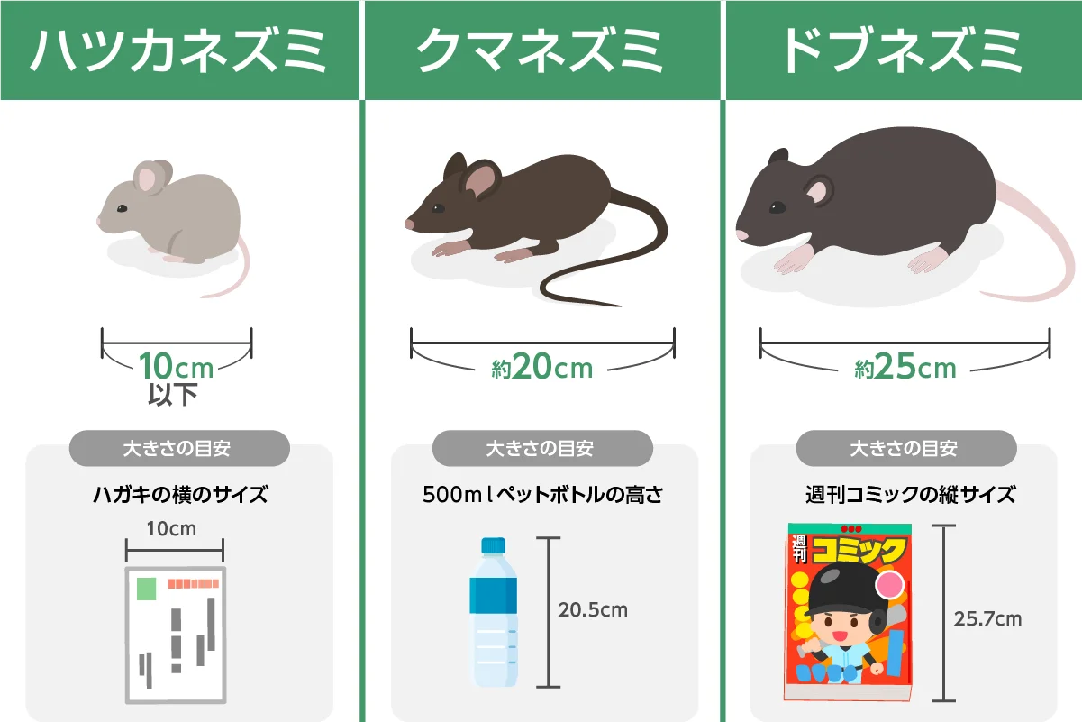 【画像あり閲覧注意】《テーブルの上にふっくらとしたネズミが…》新宿・焼肉店での動画が拡散で物議、運営会社は「直後に殺処分と謝罪」「ねずみは薬剤の影響で弱って落下してきたものと推察」