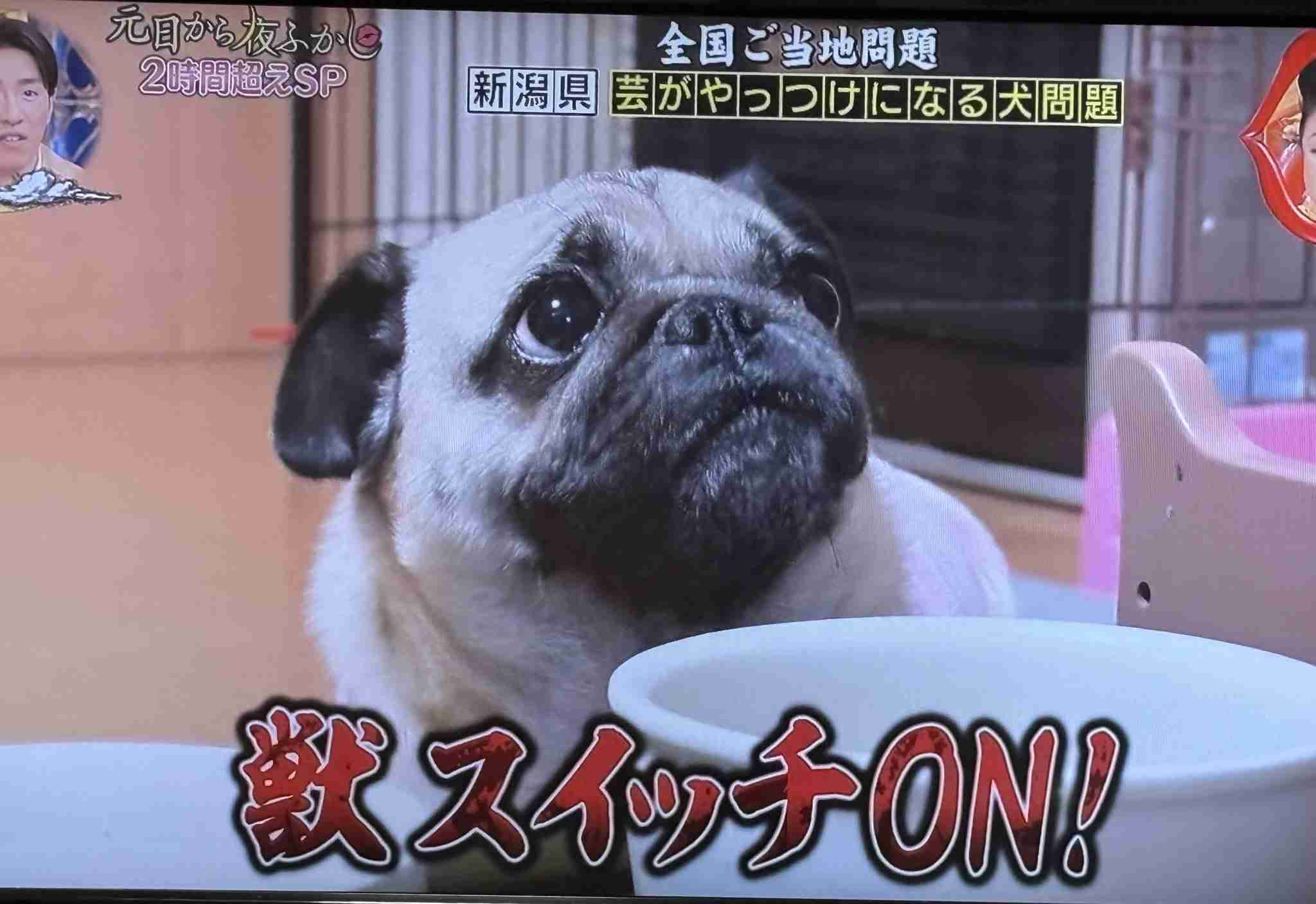 夜更かしガル民の深夜雑談トピpart14