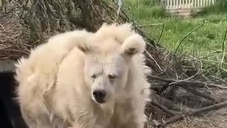 引きこもり主婦
