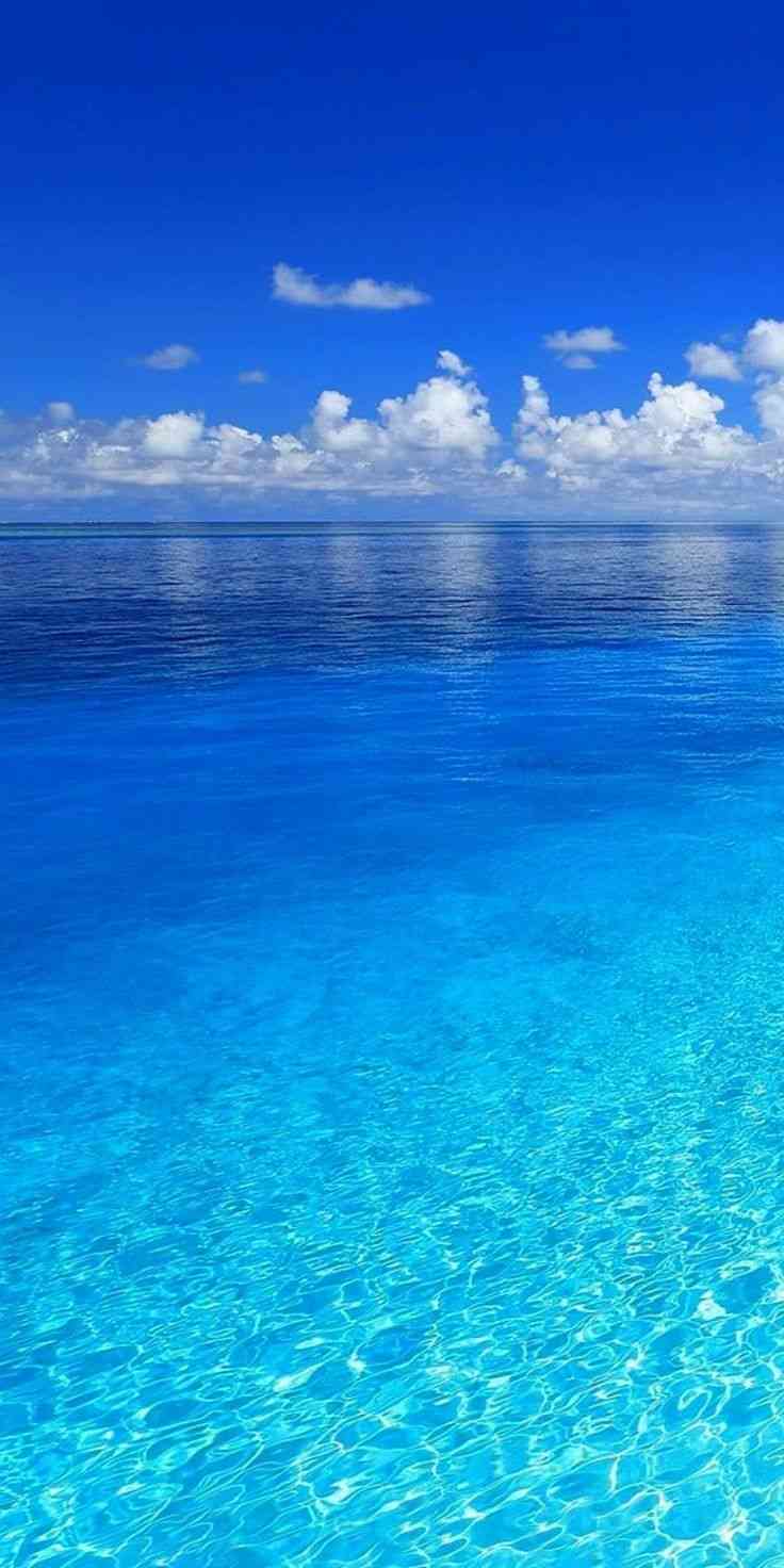 夏が好きor夏が恋しい方