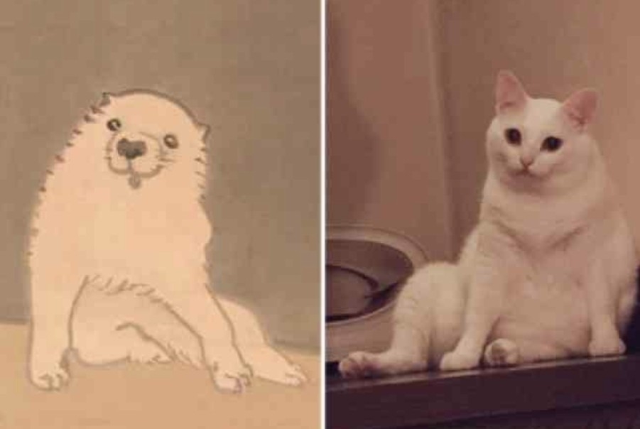白い動物たち