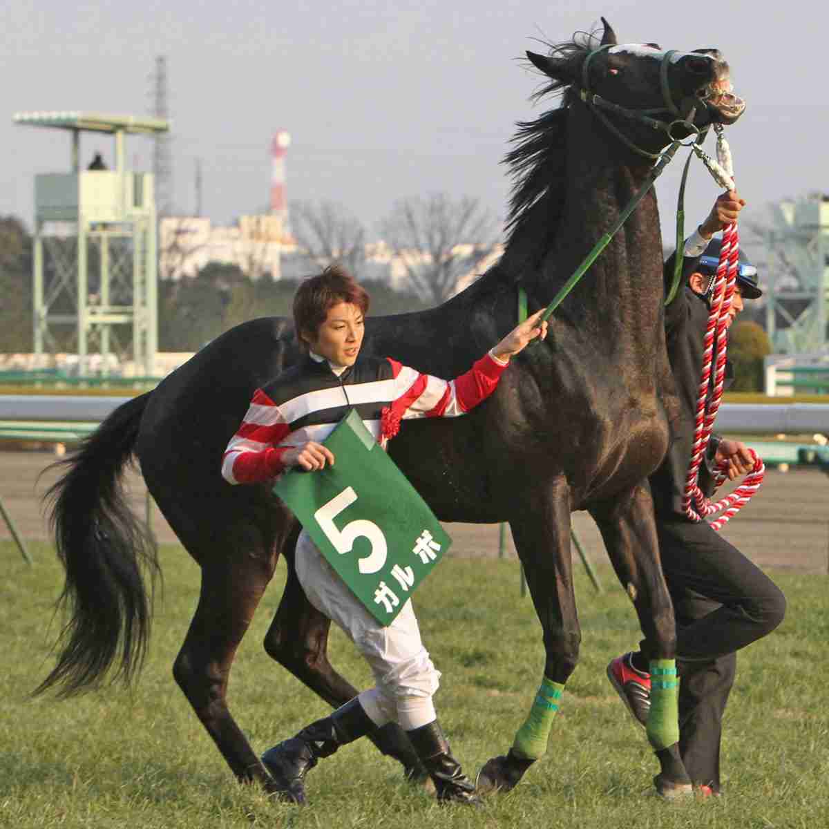 【午年🐎】競馬について語ろう【初心者もベテランも】