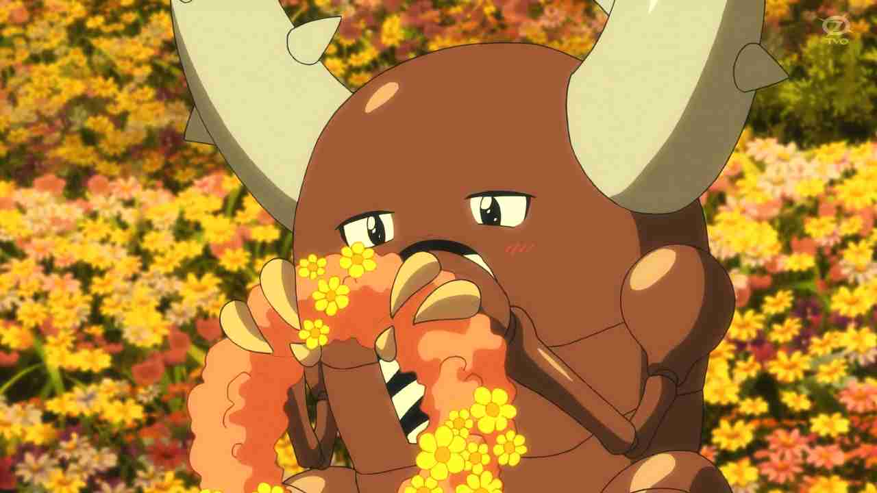 かわいいポケモンの画像が見たい