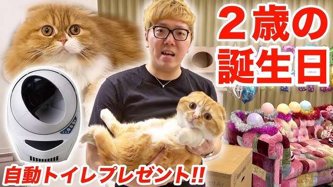 ペットの誕生日