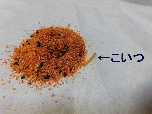 【閲覧注意】年越しそばに七味…のはずが「八味」? 唐辛子にわく虫の正体