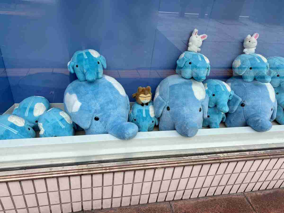 独学で知識を得た物