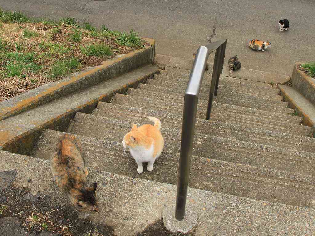 2020から2021年のコロナ禍を思い出してみる