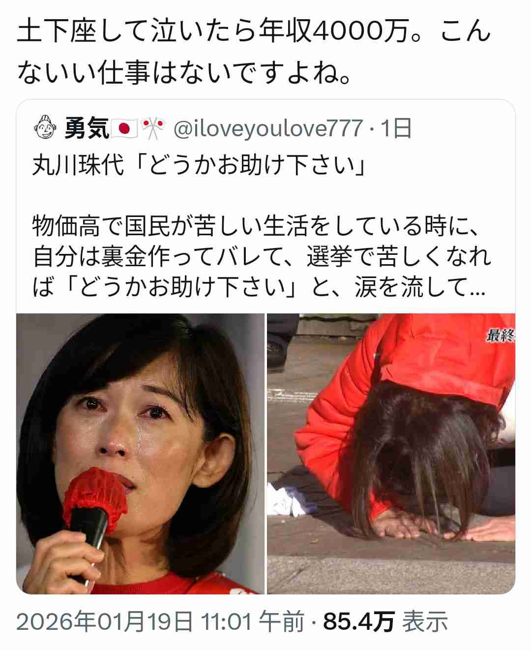 「外国人が生活のエリアまで入ってきている」自民・丸川珠代氏の第一声が物議「発想がアパルトヘイト」「まるでナチス」「差別で票を稼ぐ戦法か」