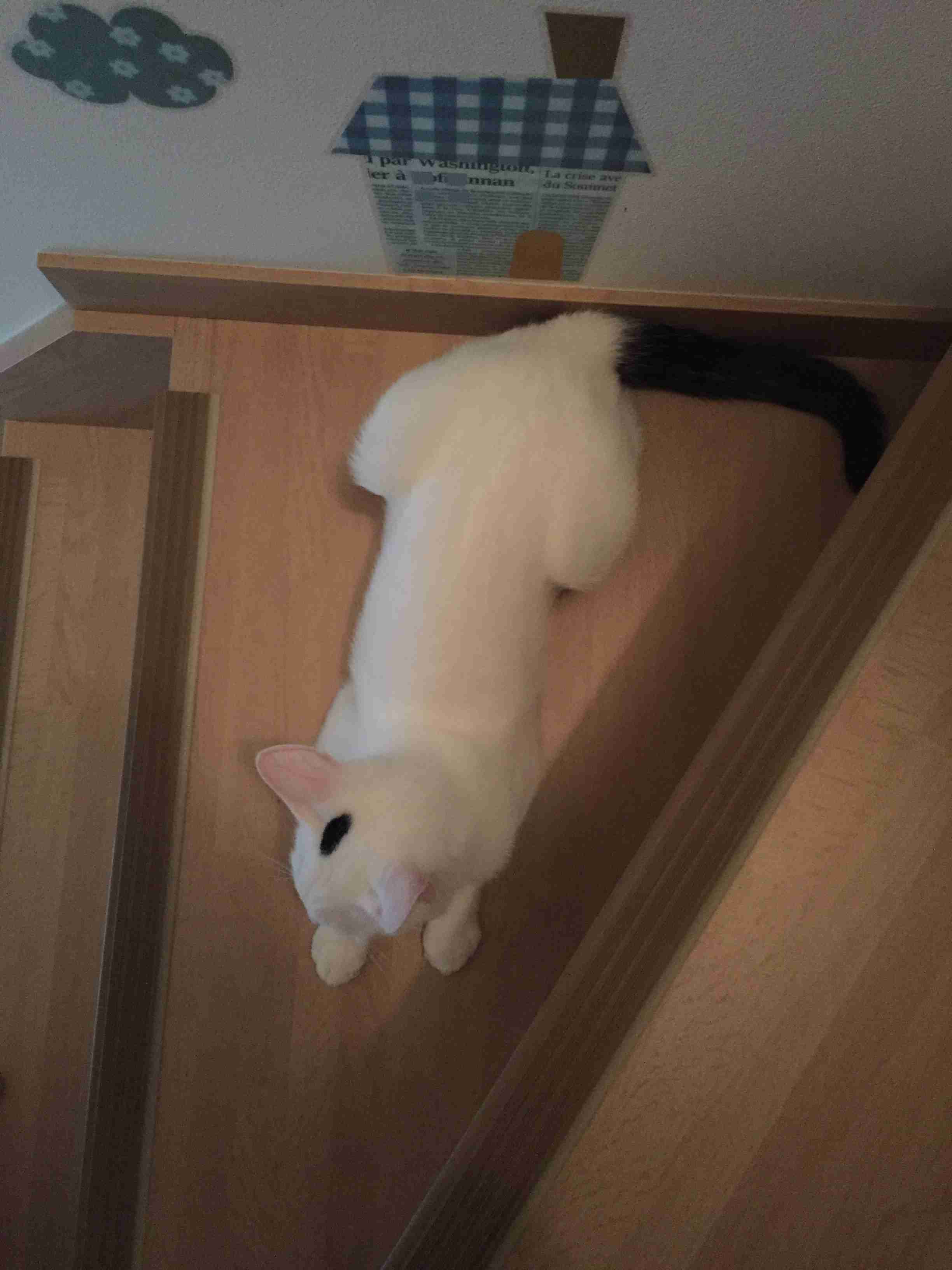【微アダルト】エロくないのに、見える人にはそう見えちゃう画像part3