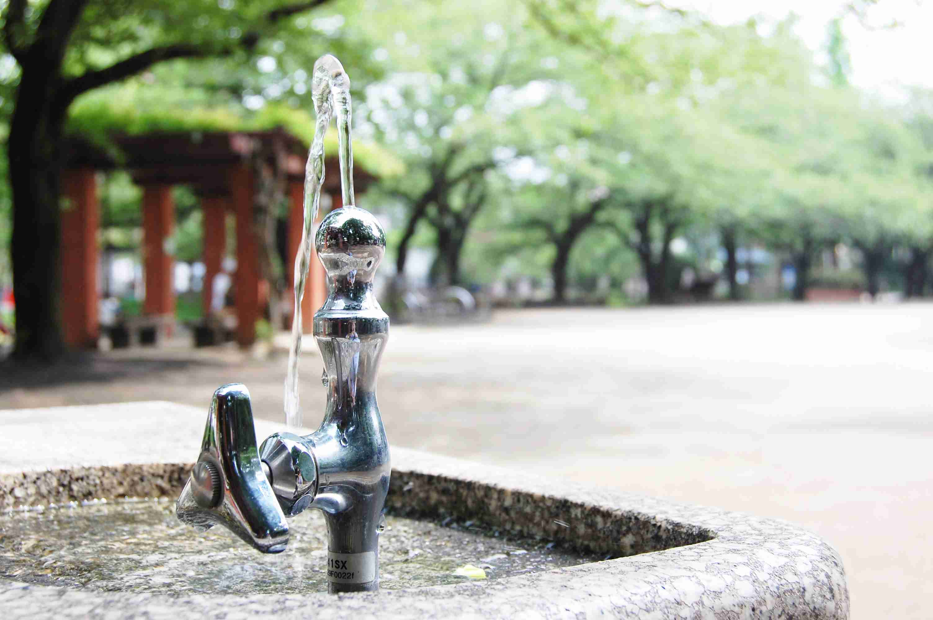 【微アダルト】エロくないのに、見える人にはそう見えちゃう画像part3