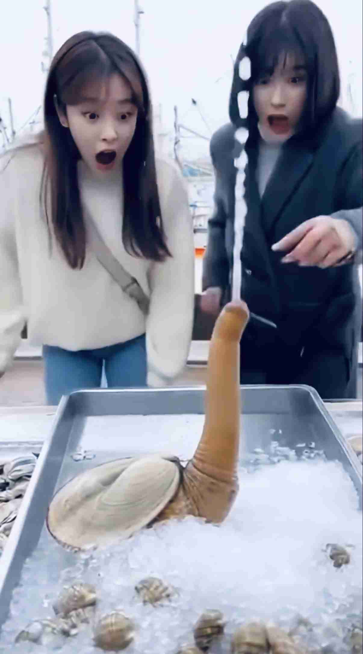 【微アダルト】エロくないのに、見える人にはそう見えちゃう画像part3