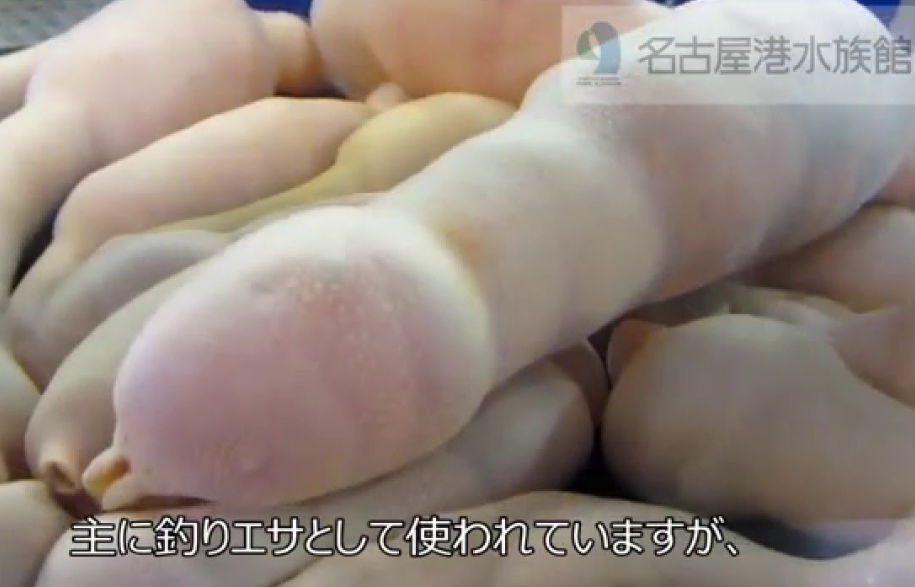【微アダルト】エロくないのに、見える人にはそう見えちゃう画像part3
