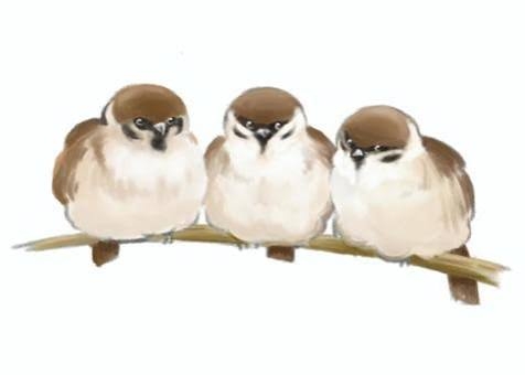絵本のタイトルでしりとり
