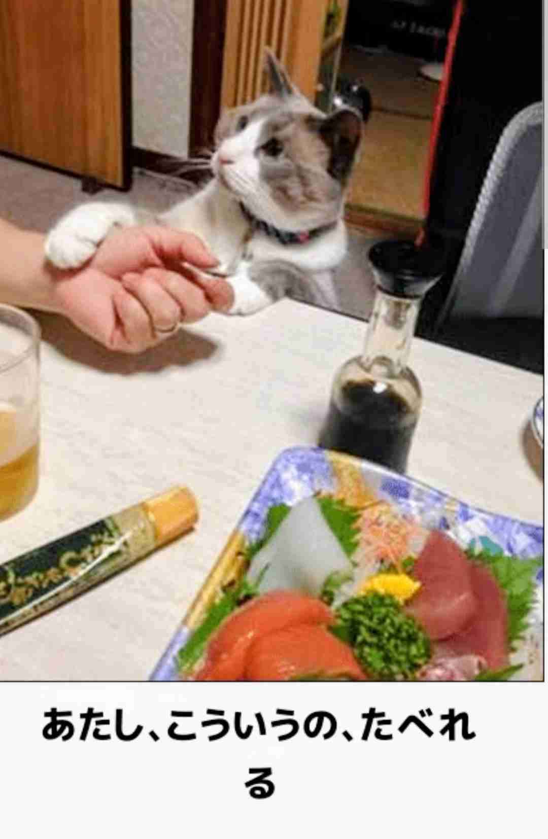 魚を綺麗に食べられますか？