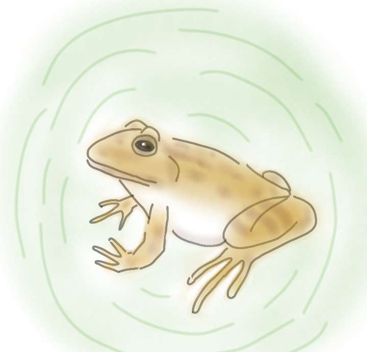 絵を描いてしりとりしたい