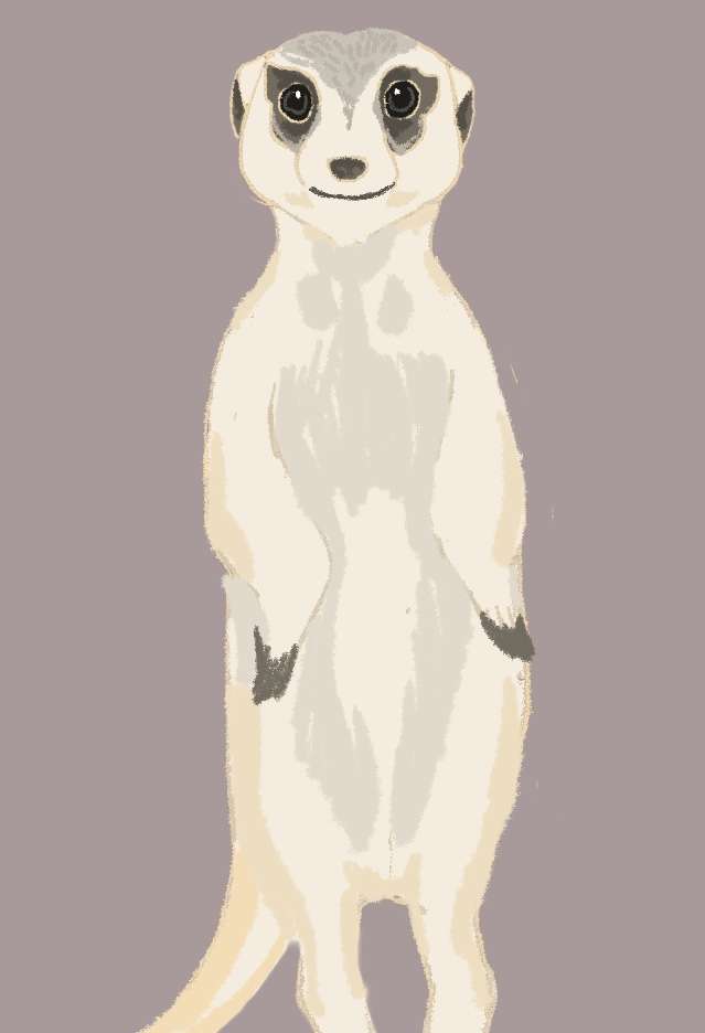絵を描いてしりとりしたい