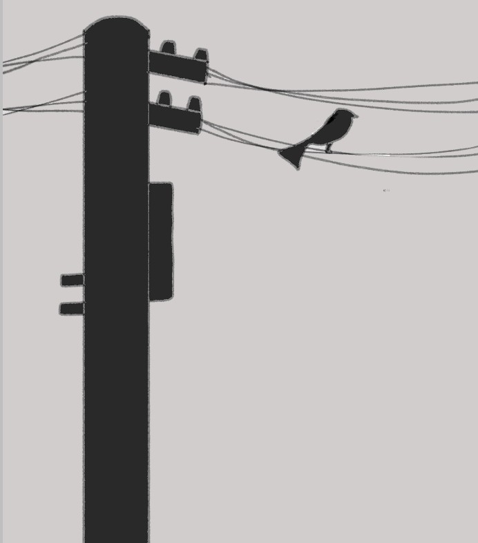 絵を描いてしりとりしたい