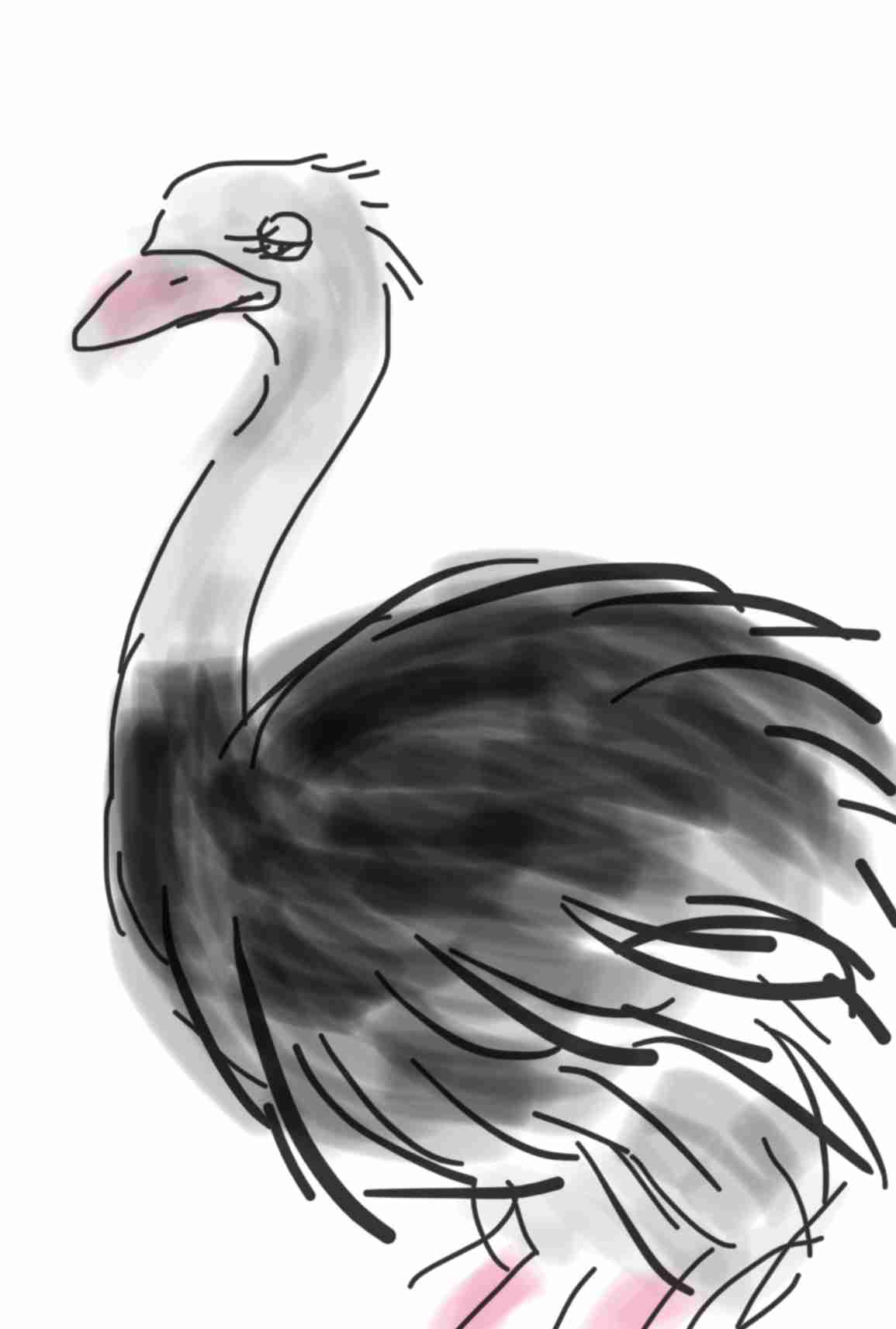 絵を描いてしりとりしたい