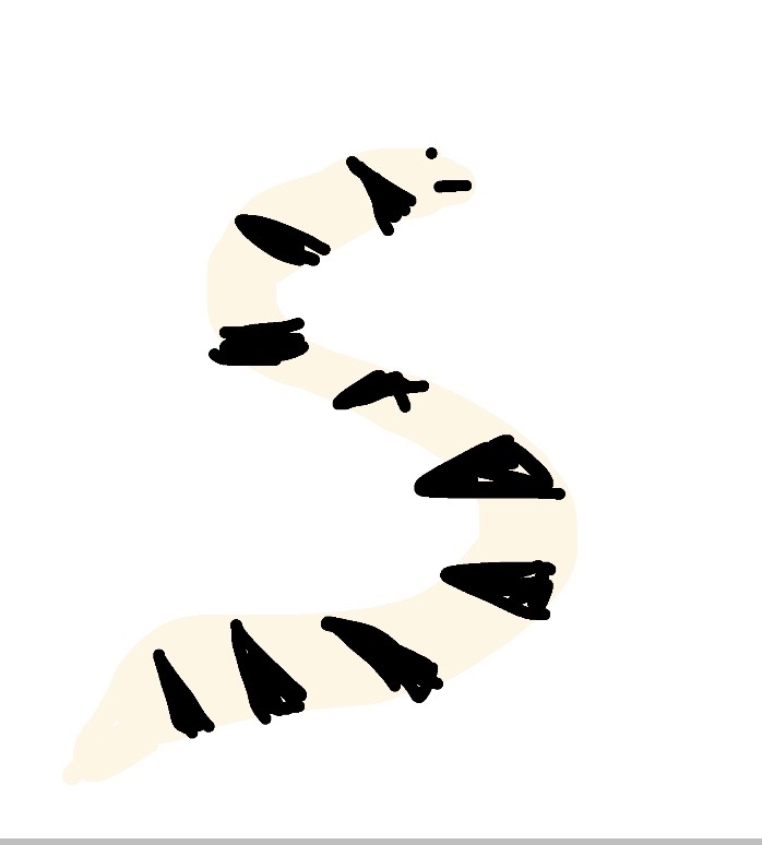 絵を描いてしりとりしたい