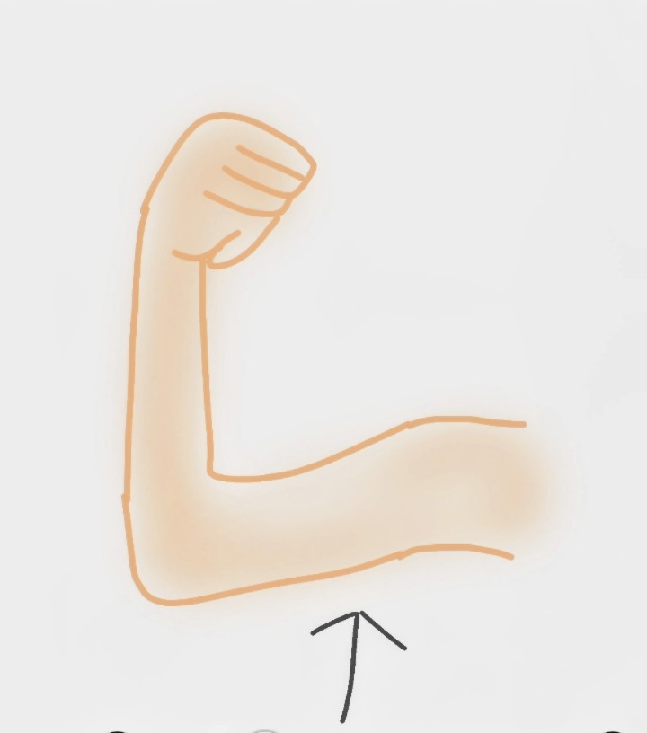 絵を描いてしりとりしたい