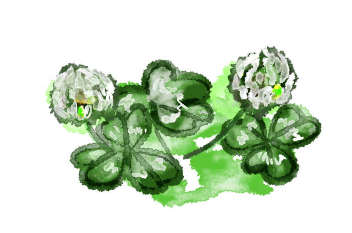 絵を描いてしりとりしたい
