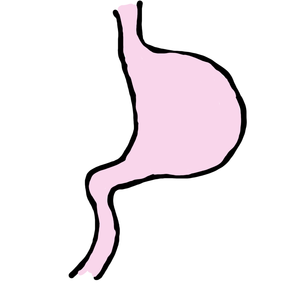 絵を描いてしりとりしたい