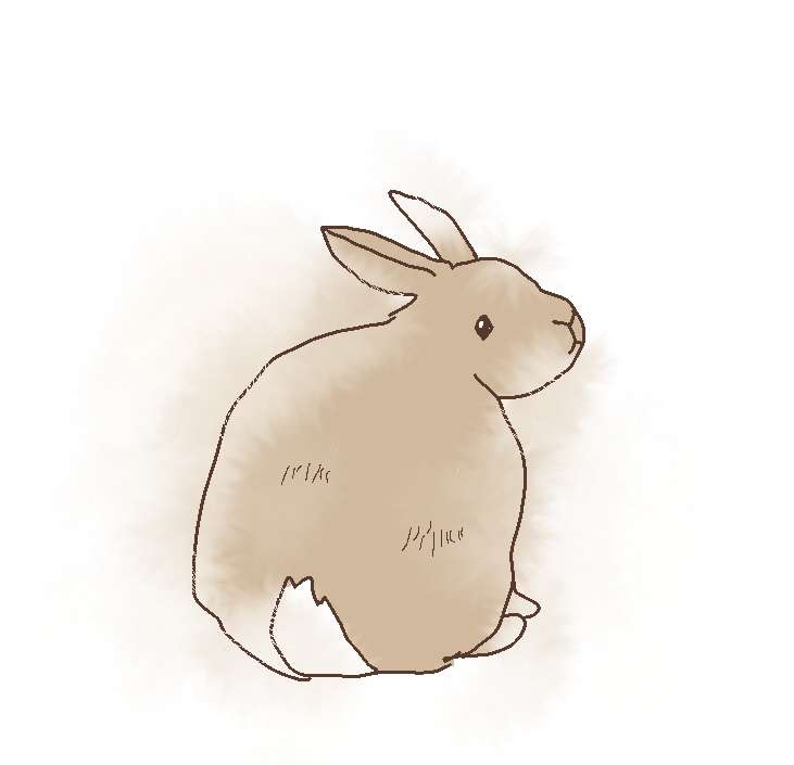 絵を描いてしりとりしたい