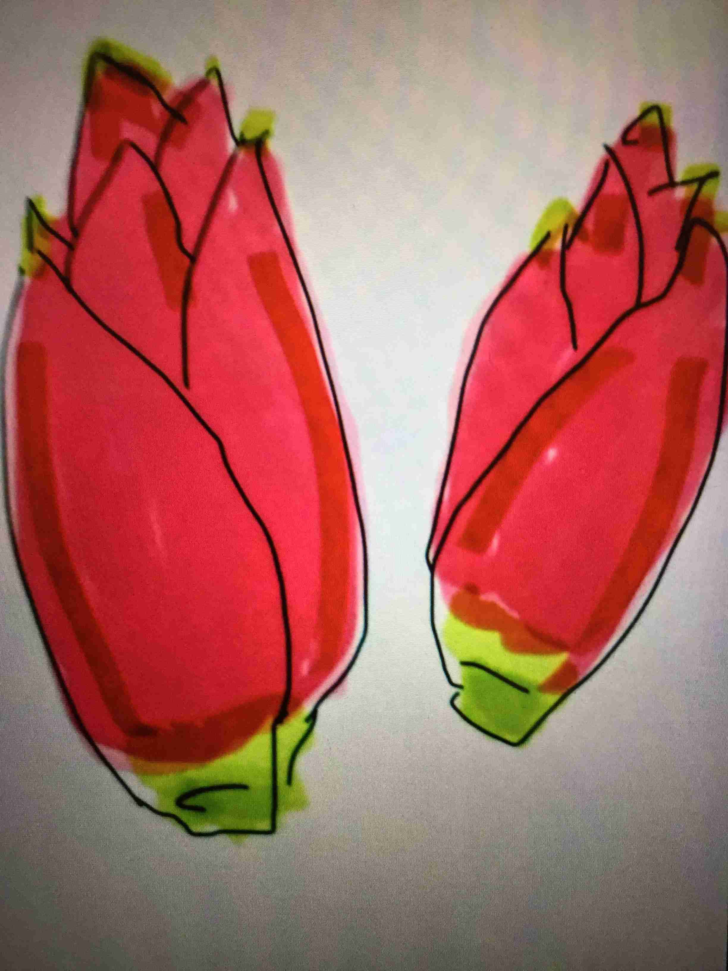 絵を描いてしりとりしたい