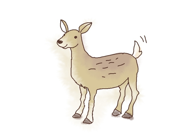 絵を描いてしりとりしたい