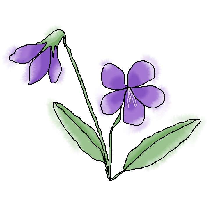 絵を描いてしりとりしたい