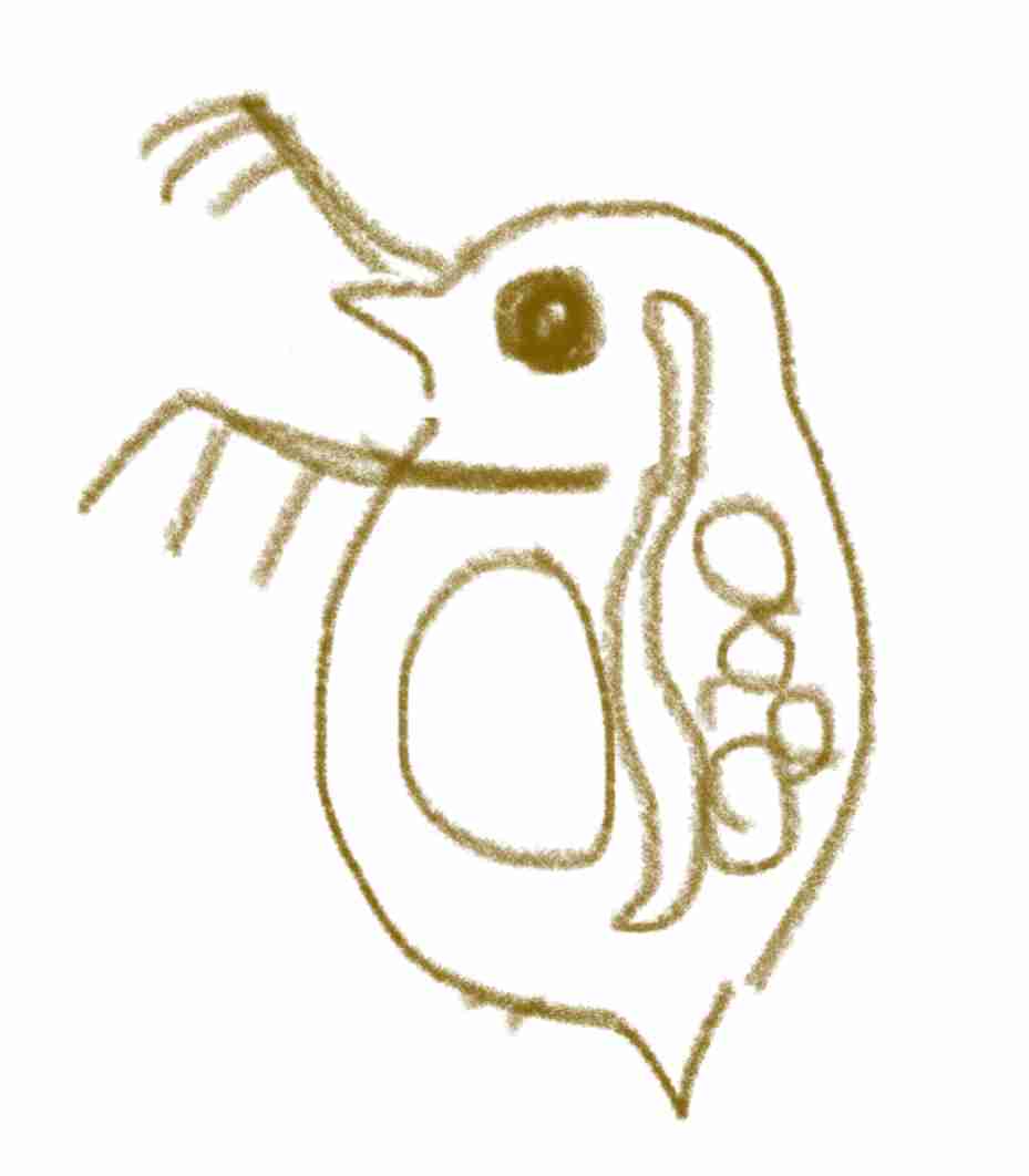 絵を描いてしりとりしたい