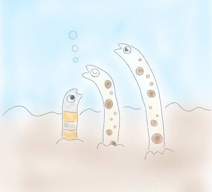 絵を描いてしりとりしたい