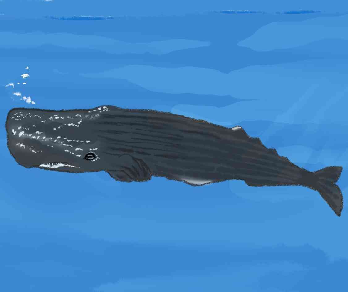 絵を描いてしりとりしたい