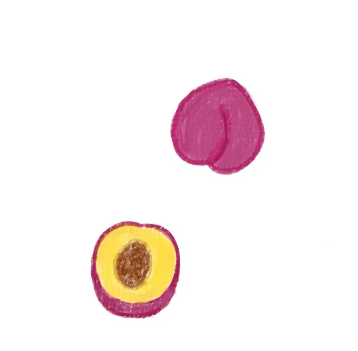 絵を描いてしりとりしたい