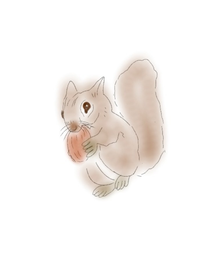 絵を描いてしりとりしたい