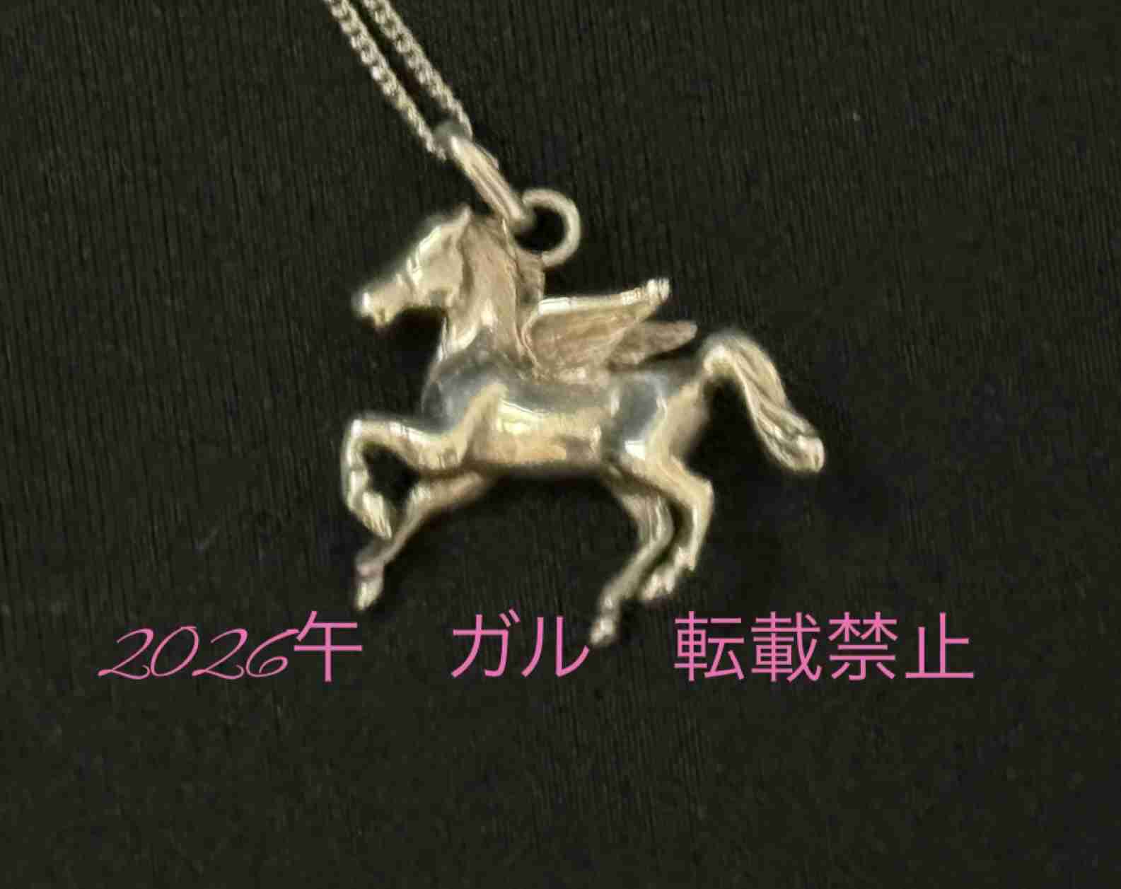 数万円のジュエリーを愛用している人〜Part40【2026年1月】