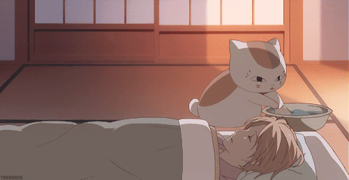 【夏目友人帳】色んなニャンコ先生が見たいPart2