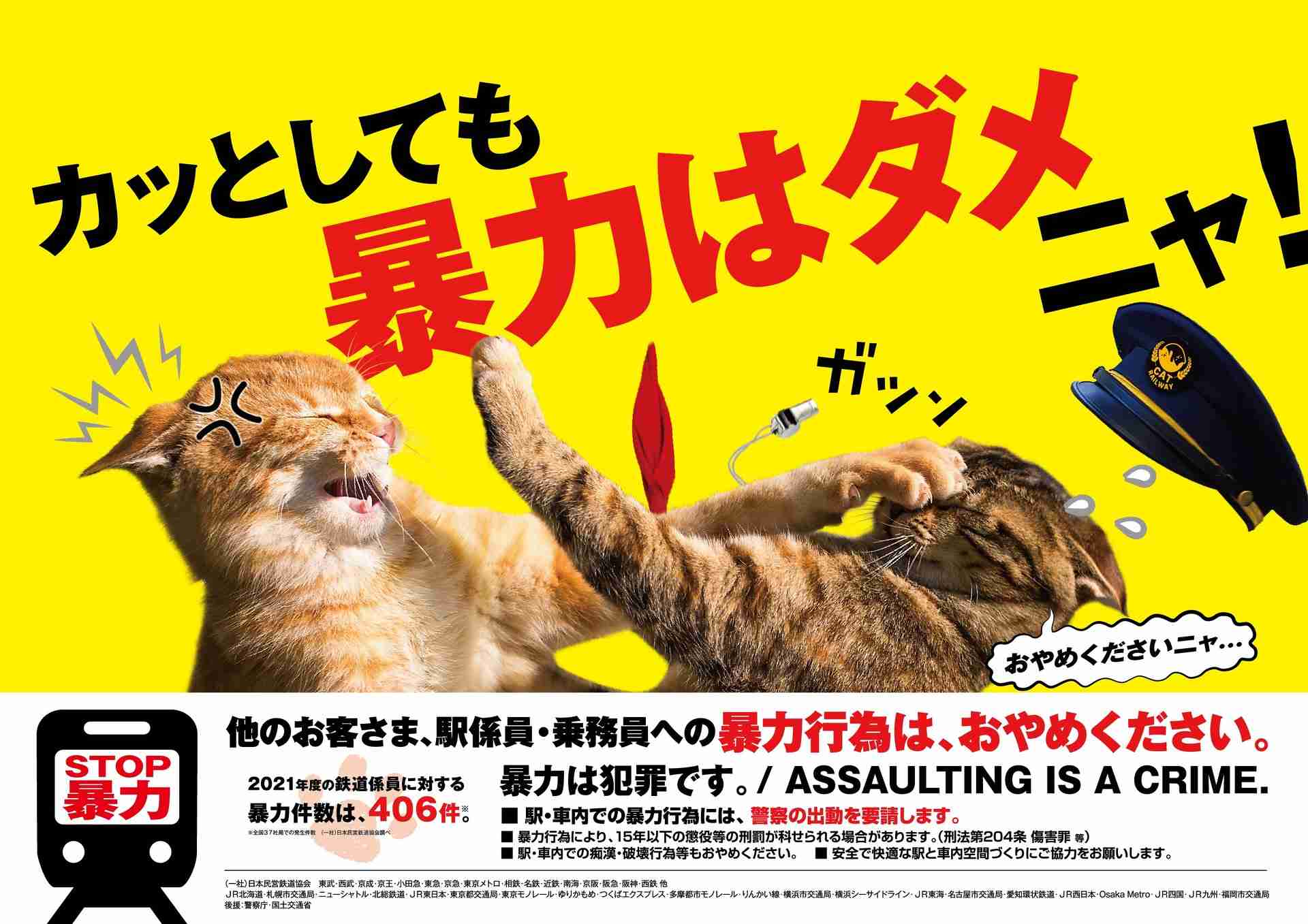 年1万人感染「猫ひっかき病」にご注意…研究者ら「むやみに野良猫を触らない」「飼い猫を外に出さない」