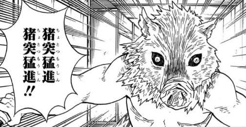 🐗猪!