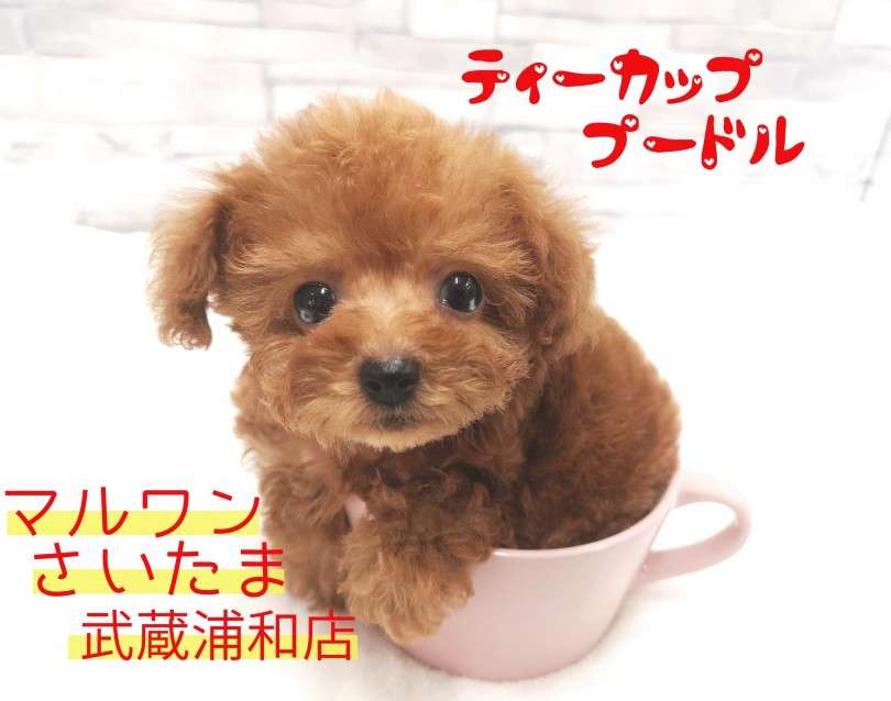 マグカップで作るレシピ