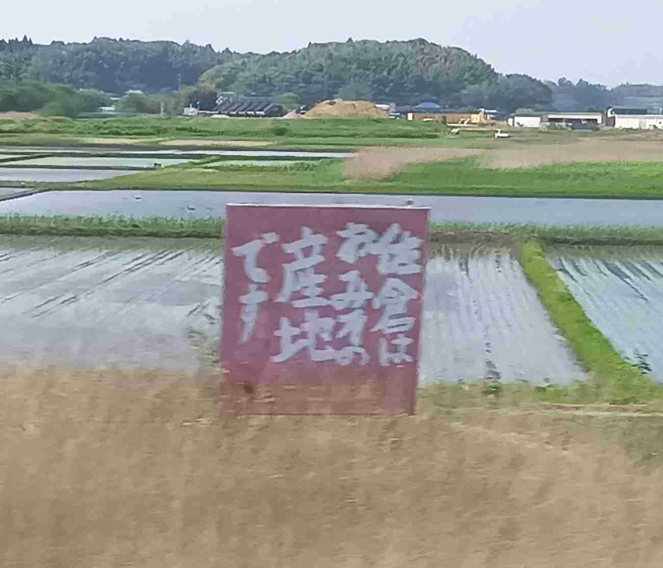 千葉県民あつまれ！