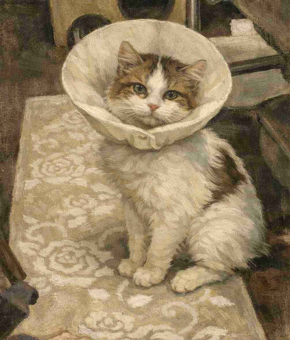 【祝】飼い猫をAIや手描きで美しく描いてたくさん自慢しよう【猫の日】