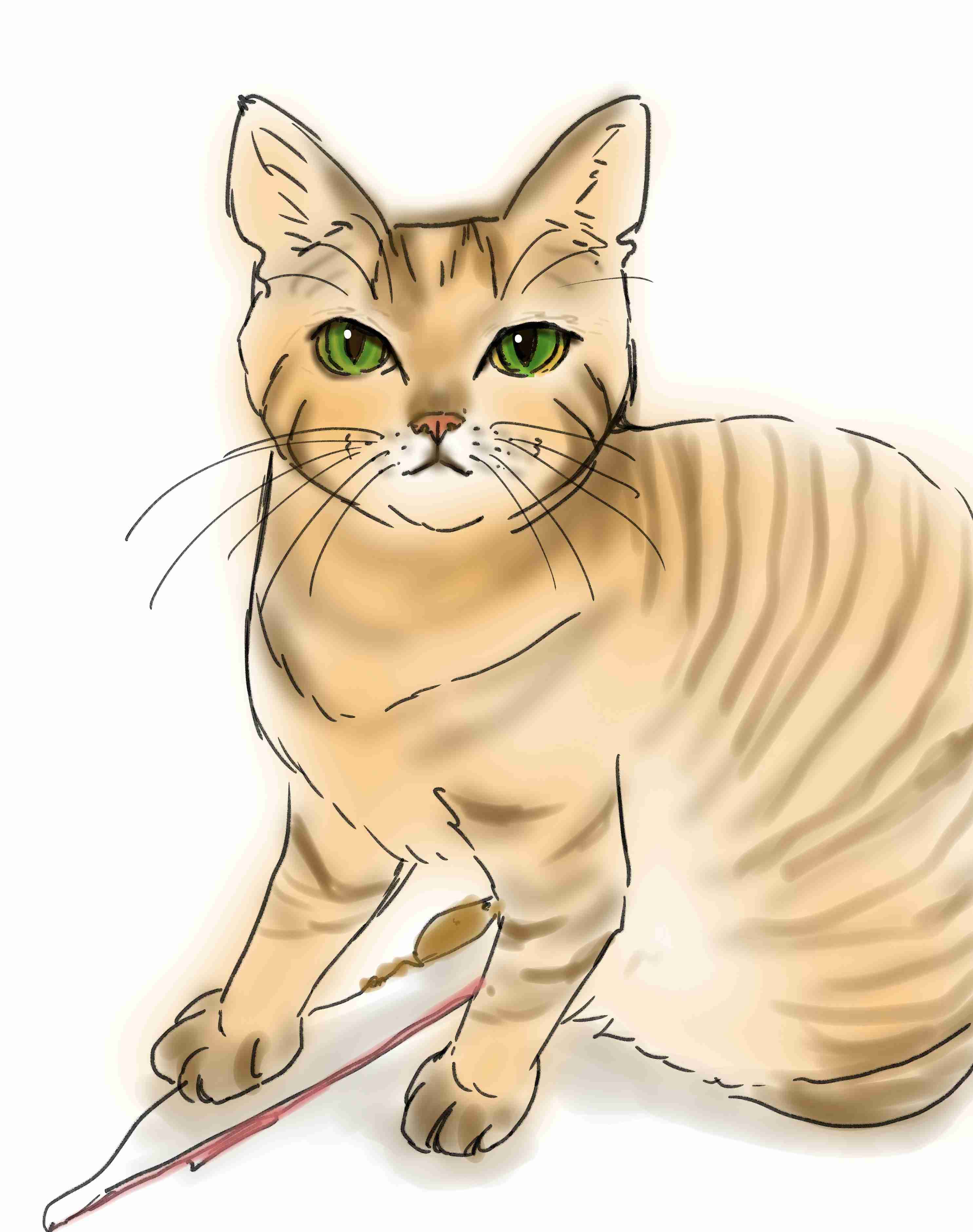 【祝】飼い猫をAIや手描きで美しく描いてたくさん自慢しよう【猫の日】