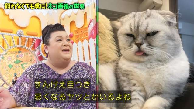 A型は美川憲一、B型はマツコ、O型は武田鉄矢、AB型はIKKO言葉で話すトピ Part14