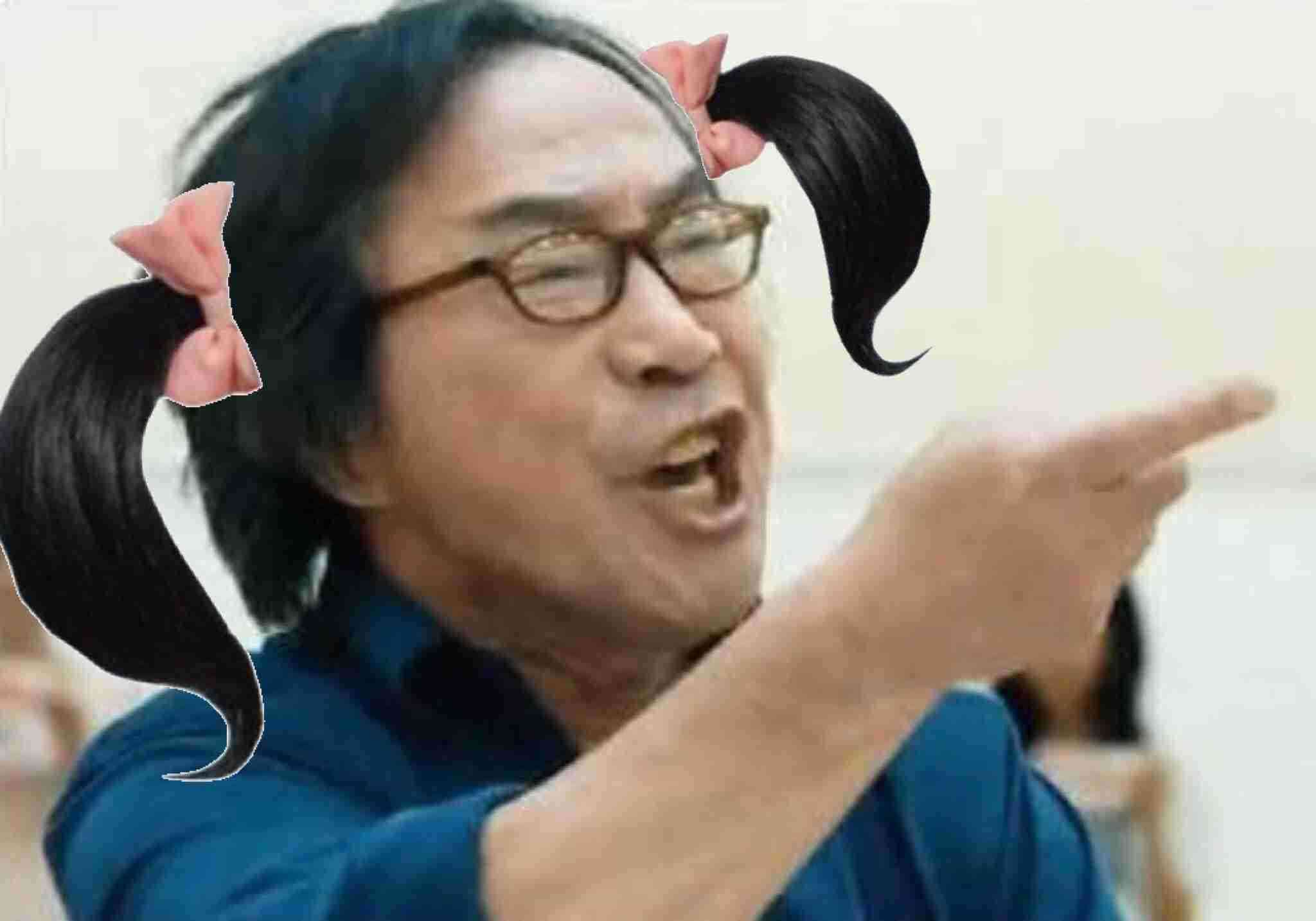 A型は美川憲一、B型はマツコ、O型は武田鉄矢、AB型はIKKO言葉で話すトピ Part14