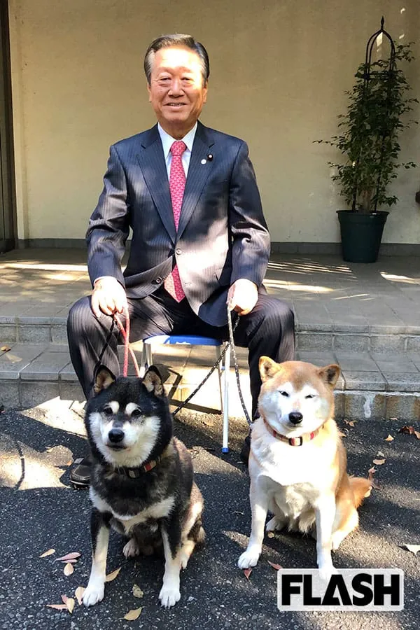 落選の小沢一郎氏、今後に言及「政治生活に終止符を打つことも取るべき道でありますけれども…」